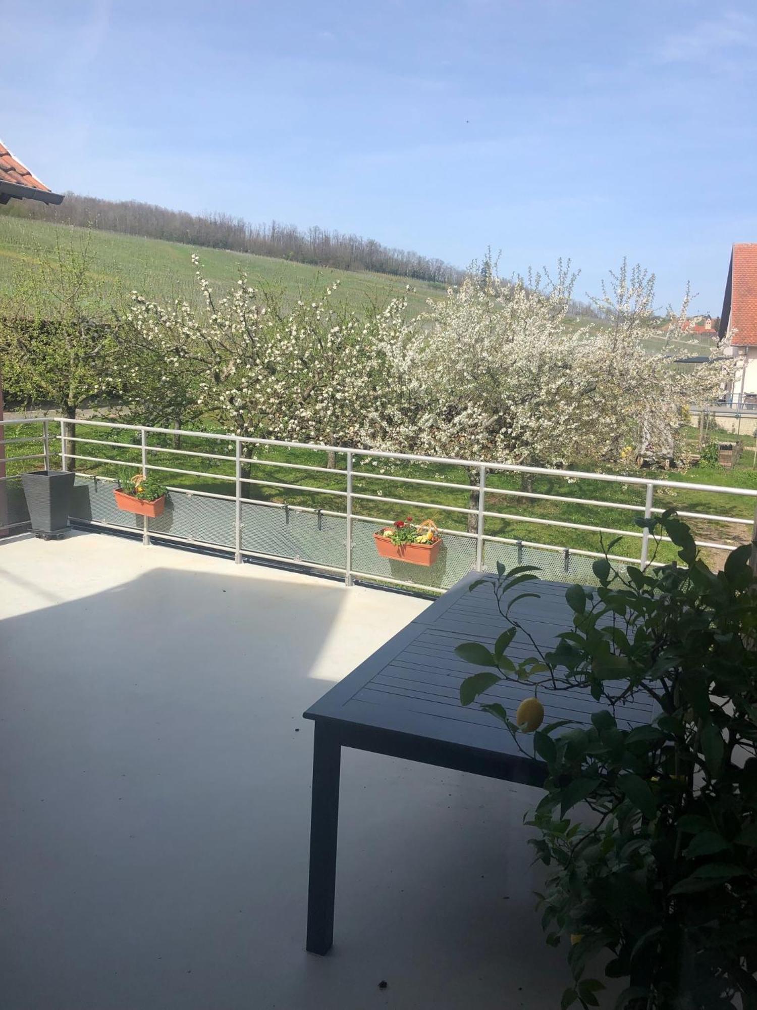 Gîte Binnert Bader Nothalten Exterior foto